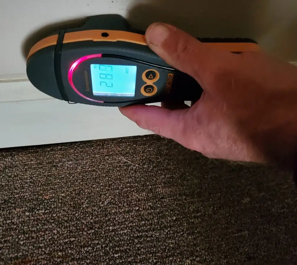 Moisture detection at baseboard during Sewage Cleanup & Sanitation in West Pensacola